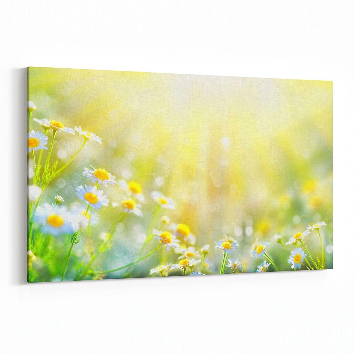 Olla 11730Y Orkide Çiçek Görseli Yatay Kanvas Tablo (Ölçü: 90X60)