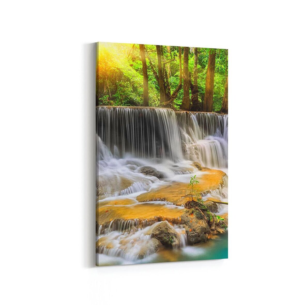 Olla 13619D Doğa / Manzara Görseli Dikey Kanvas Tablo (Ölçü: 50X75)