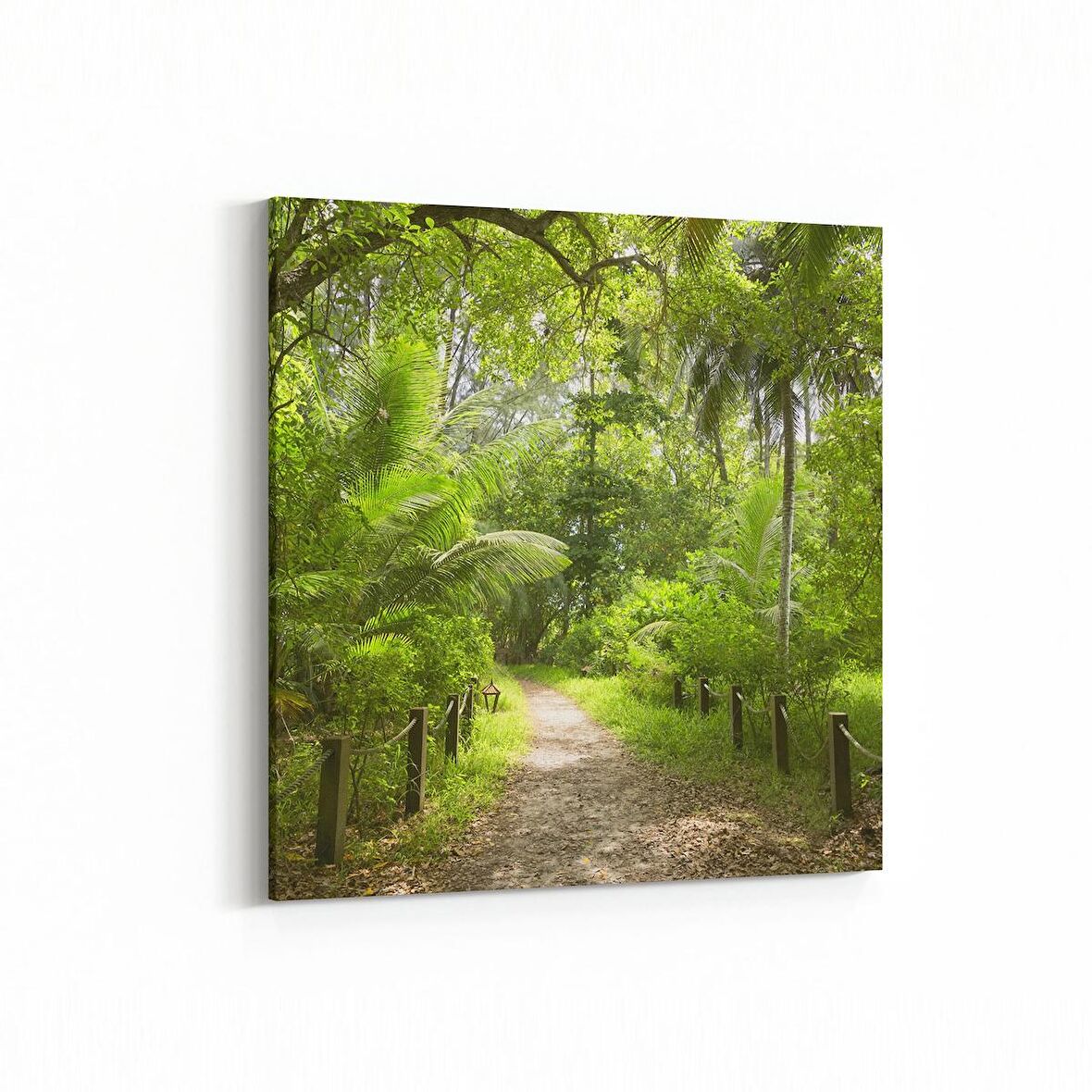 Olla 13428K Doğa / Manzara Görseli Kare Kanvas Tablo (Ölçü: 25X25)