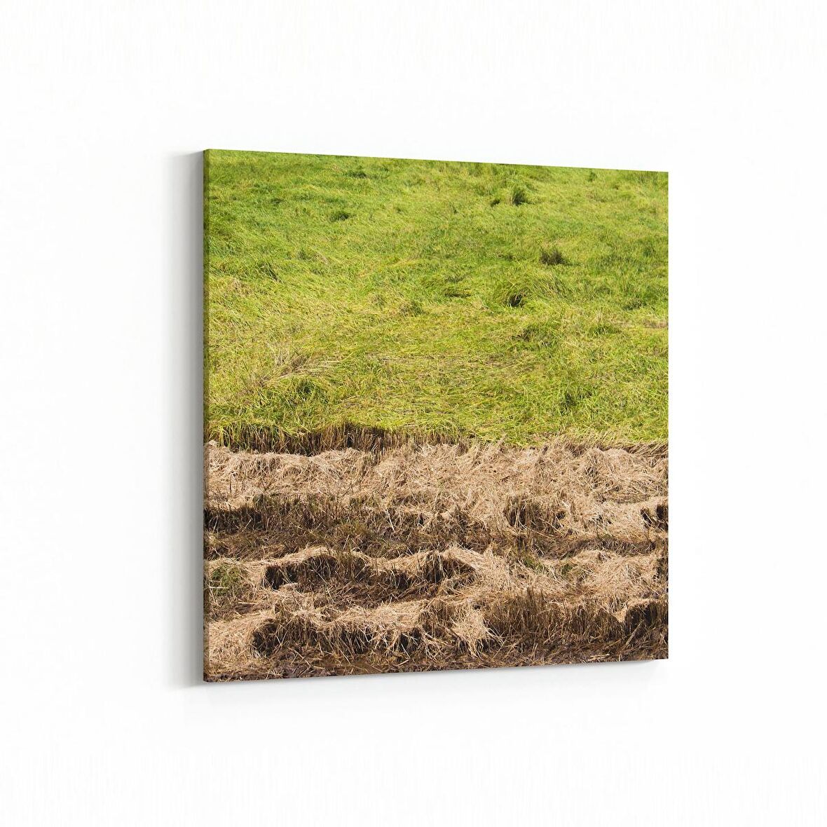 Olla 14179K Doğa / Manzara Görseli Kare Kanvas Tablo (Ölçü: 60X60)