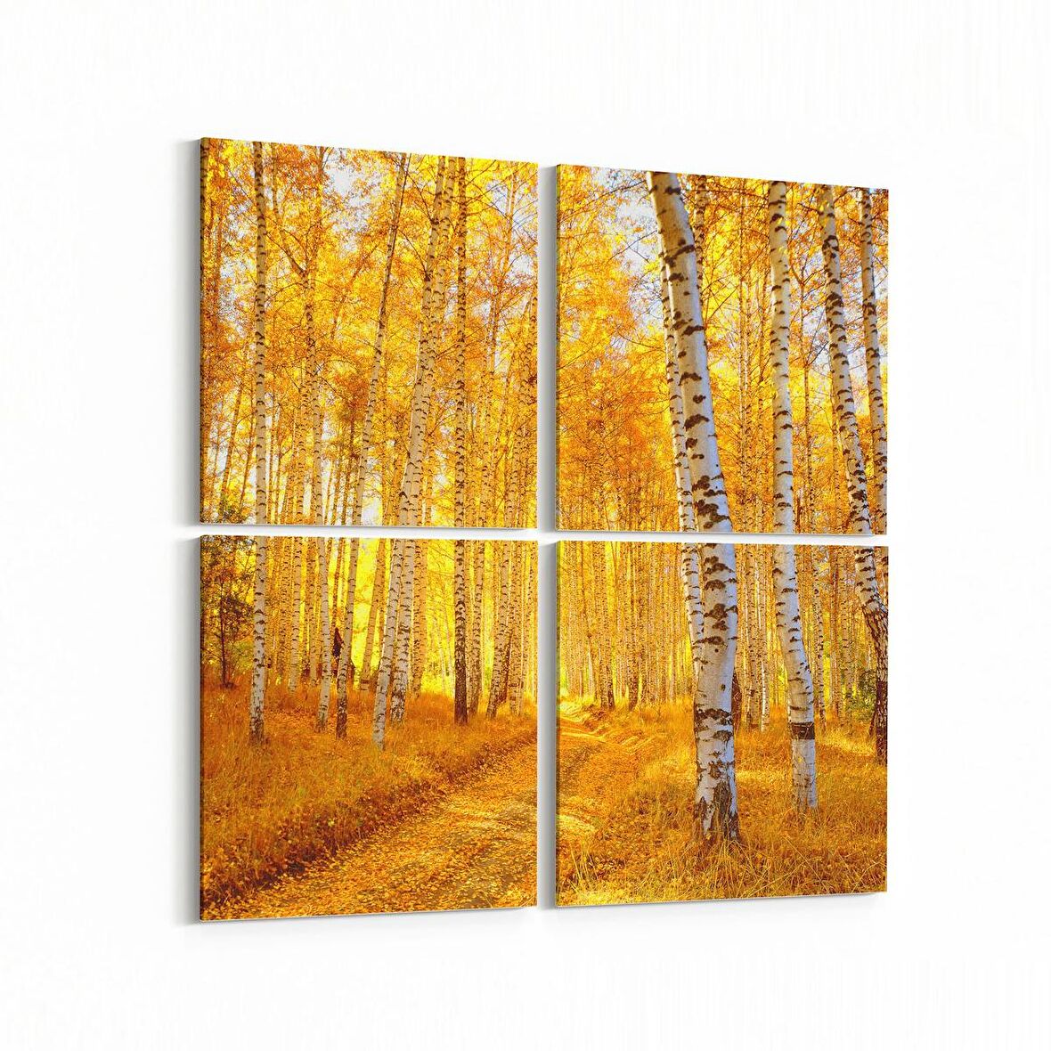 Olla 14572K4 Doğa / Manzara Görseli Kare 4'lü Kanvas Tablo (Ölçü: 65X65)