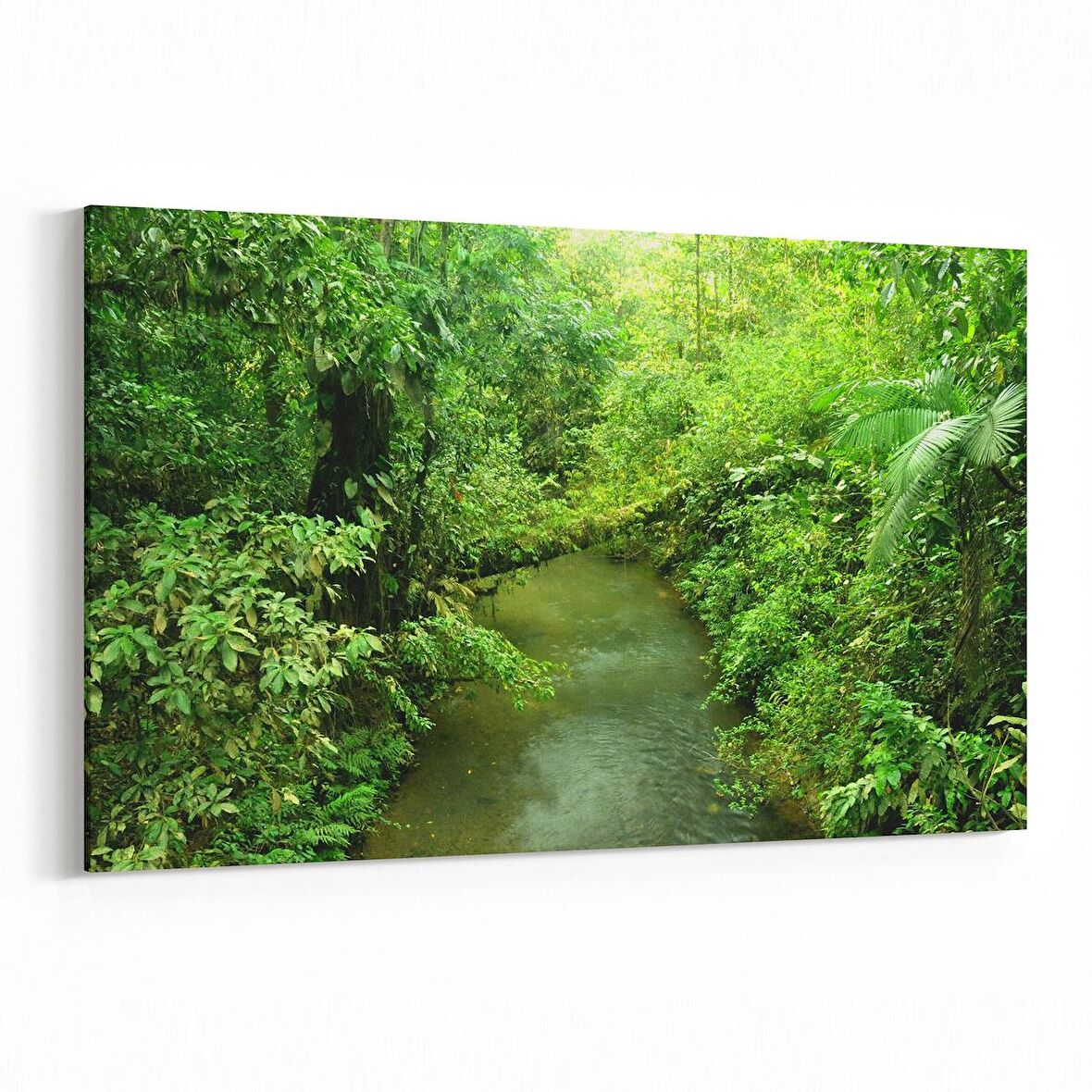 Olla 14283Y Doğa / Manzara Görseli Yatay Kanvas Tablo (Ölçü: 45X30)