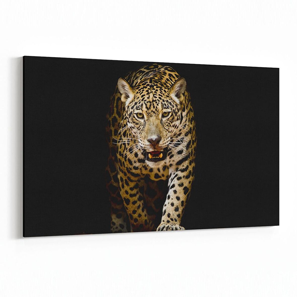 Olla 12522Y Hayvanlar Alemi Görseli Yatay Kanvas Tablo (Ölçü: 150X100)