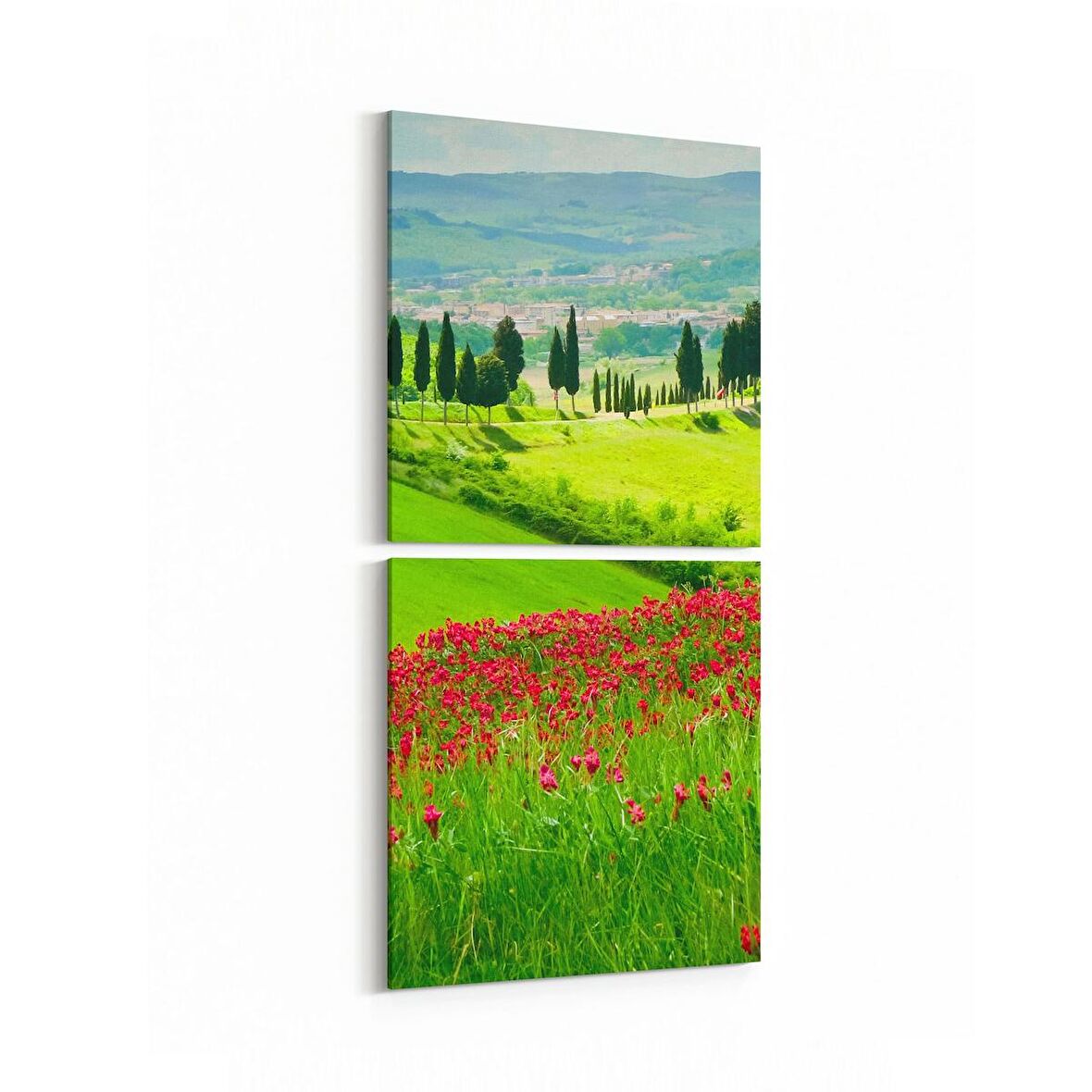 Olla 13361K2D Doğa / Manzara Görseli Kare 2'li Dikey Kanvas Tablo (Ölçü: 30X65)