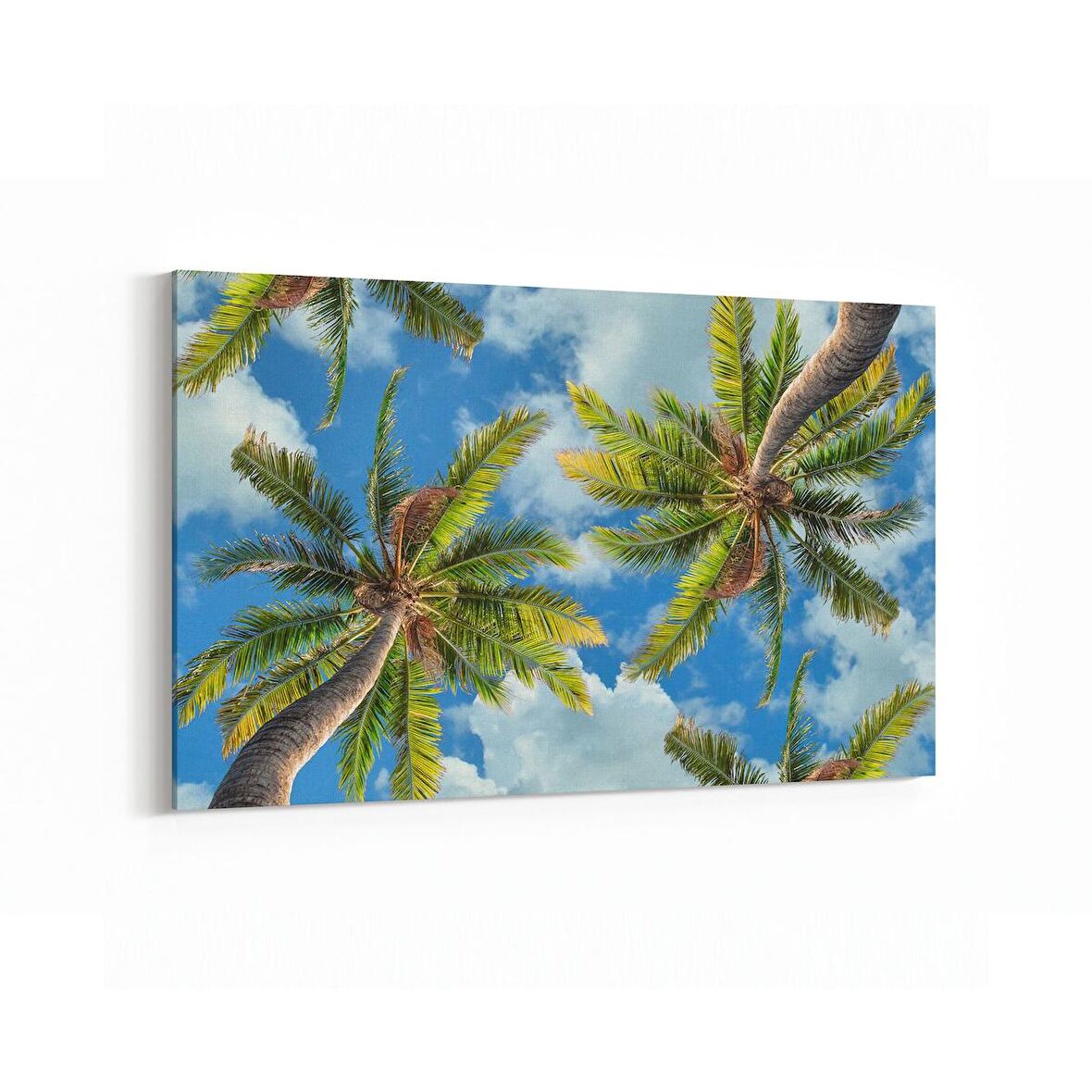 Olla 11510Y Palmiye Ağacı Görseli Yatay Kanvas Tablo (Ölçü: 150X100)