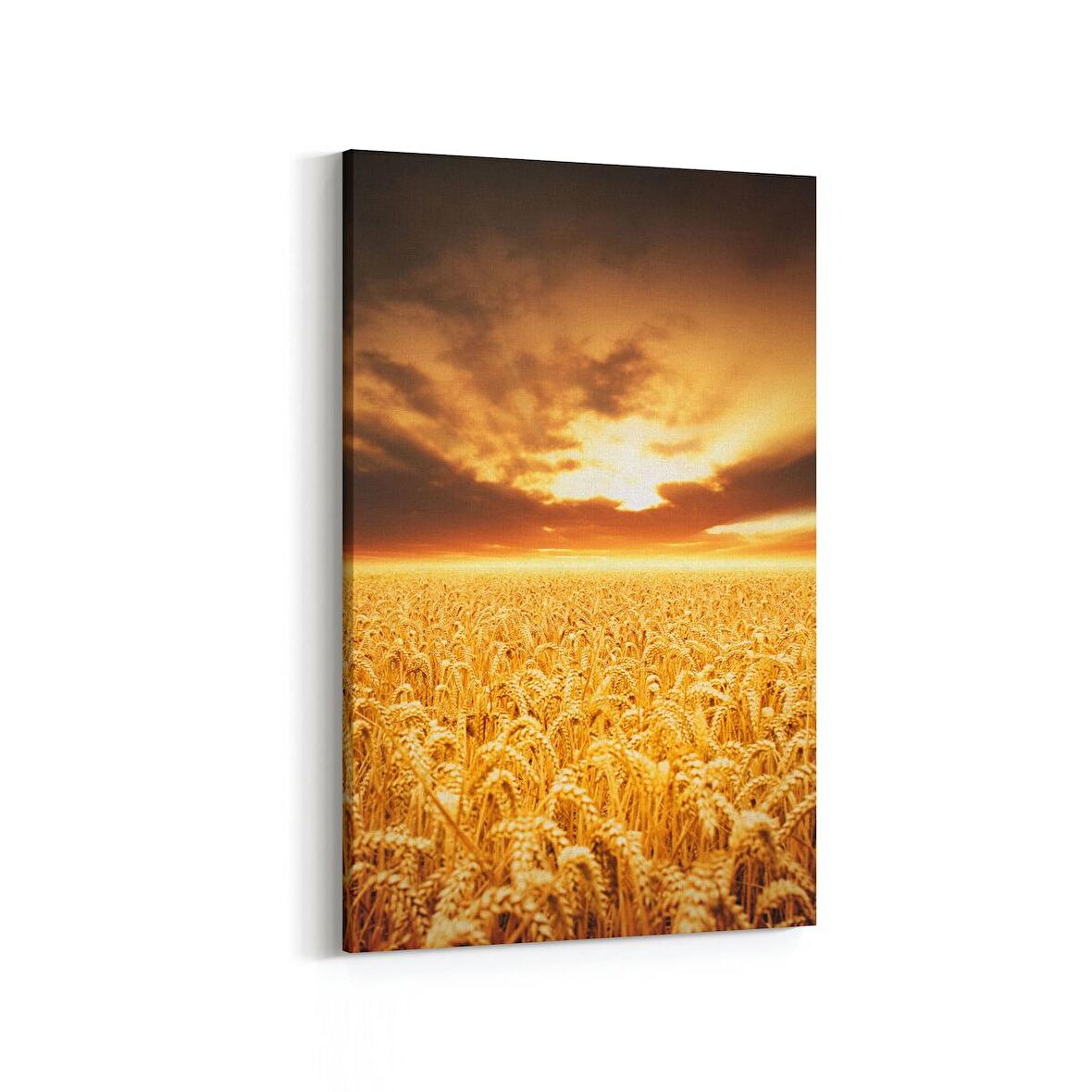 Olla 16075D Günbatımı Görseli Dikey Kanvas Tablo (Ölçü: 60X90)