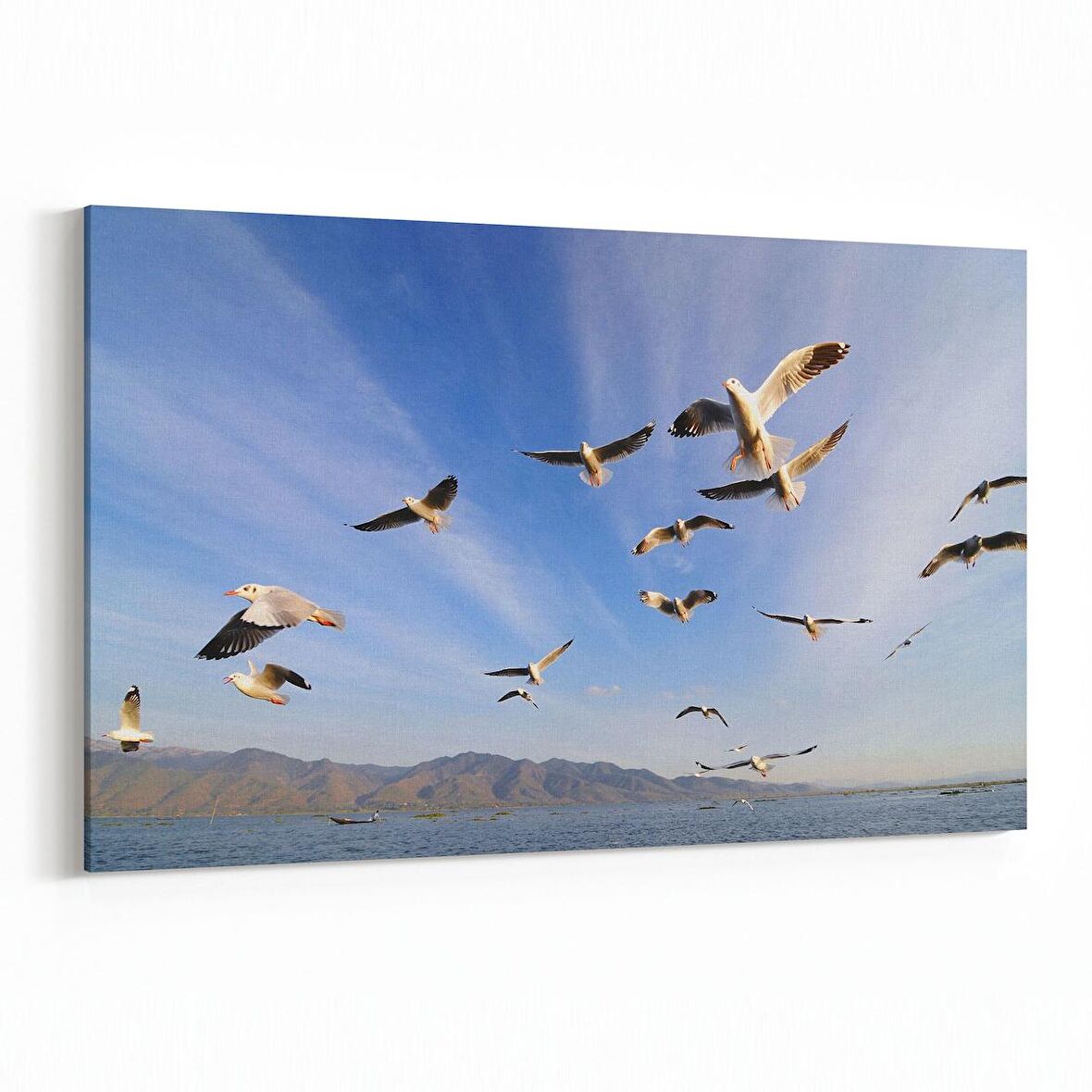 Olla 15824Y Gökyüzü Kuşlar Görseli Yatay Kanvas Tablo (Ölçü: 70X50)