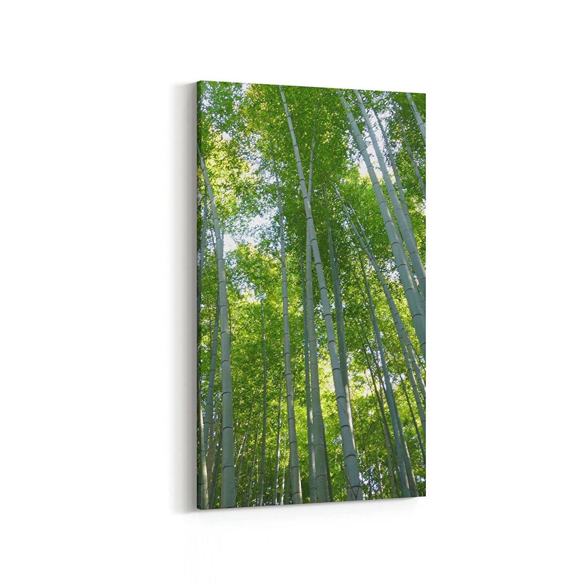 Olla 14440DD Doğa / Manzara Görseli Dikey Dar Kanvas Tablo (Ölçü: 40X80)