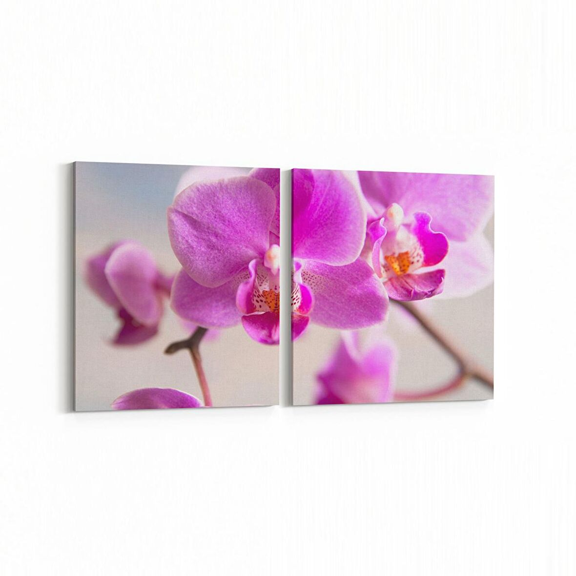 Olla 11728K2Y Orkide Çiçek Görseli 2'li Yatay Kanvas Tablo (Ölçü: 65X30)