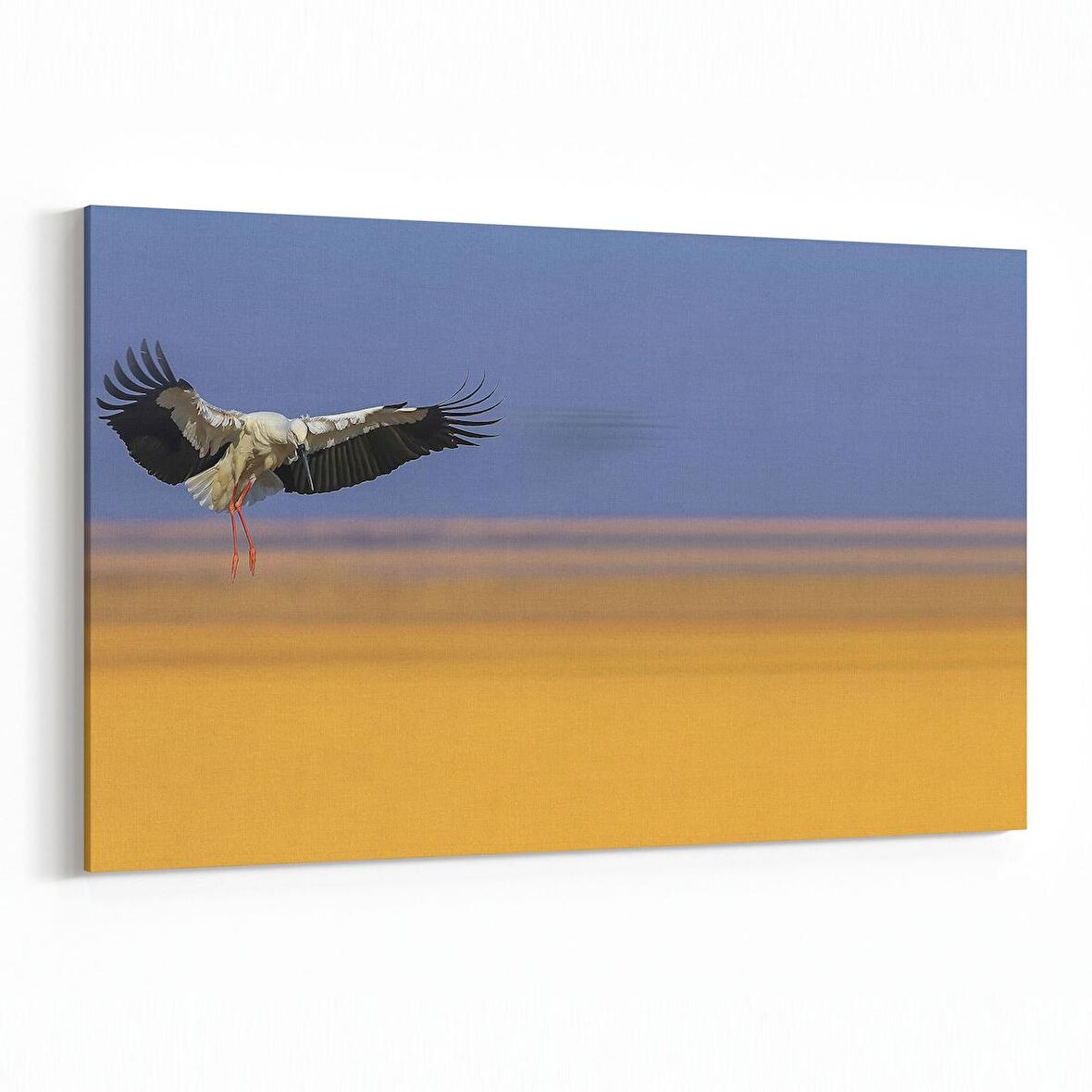 Olla 12681Y Hayvanlar Alemi Görseli Yatay Kanvas Tablo (Ölçü: 90X60)