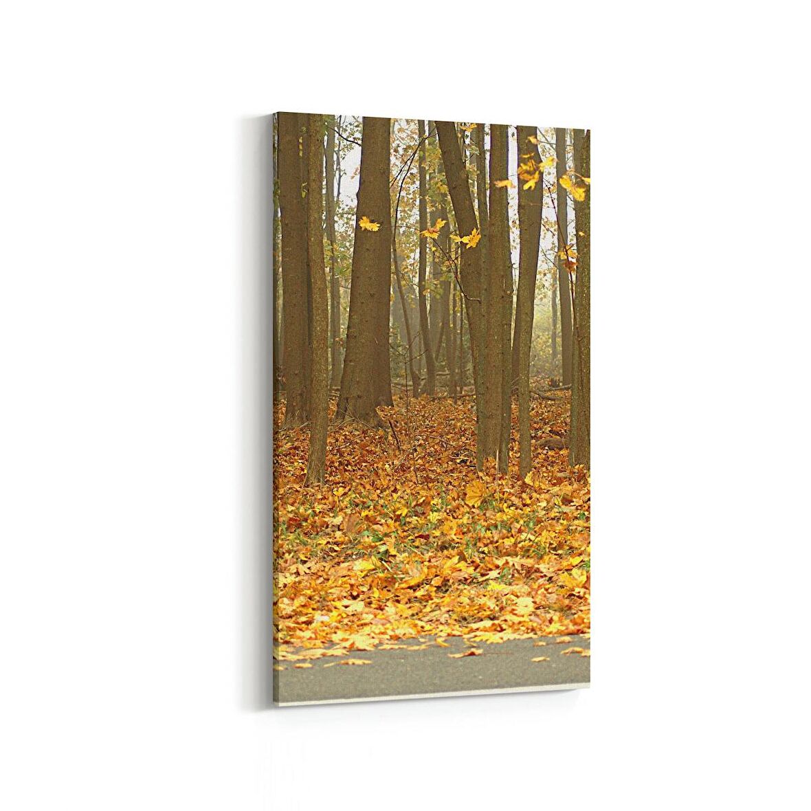 Olla 14449DD Doğa / Manzara Görseli Dikey Dar Kanvas Tablo (Ölçü: 30X60)