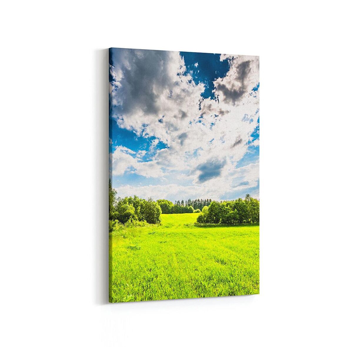 Olla 13863D Doğa / Manzara Görseli Dikey Kanvas Tablo (Ölçü: 60X90)