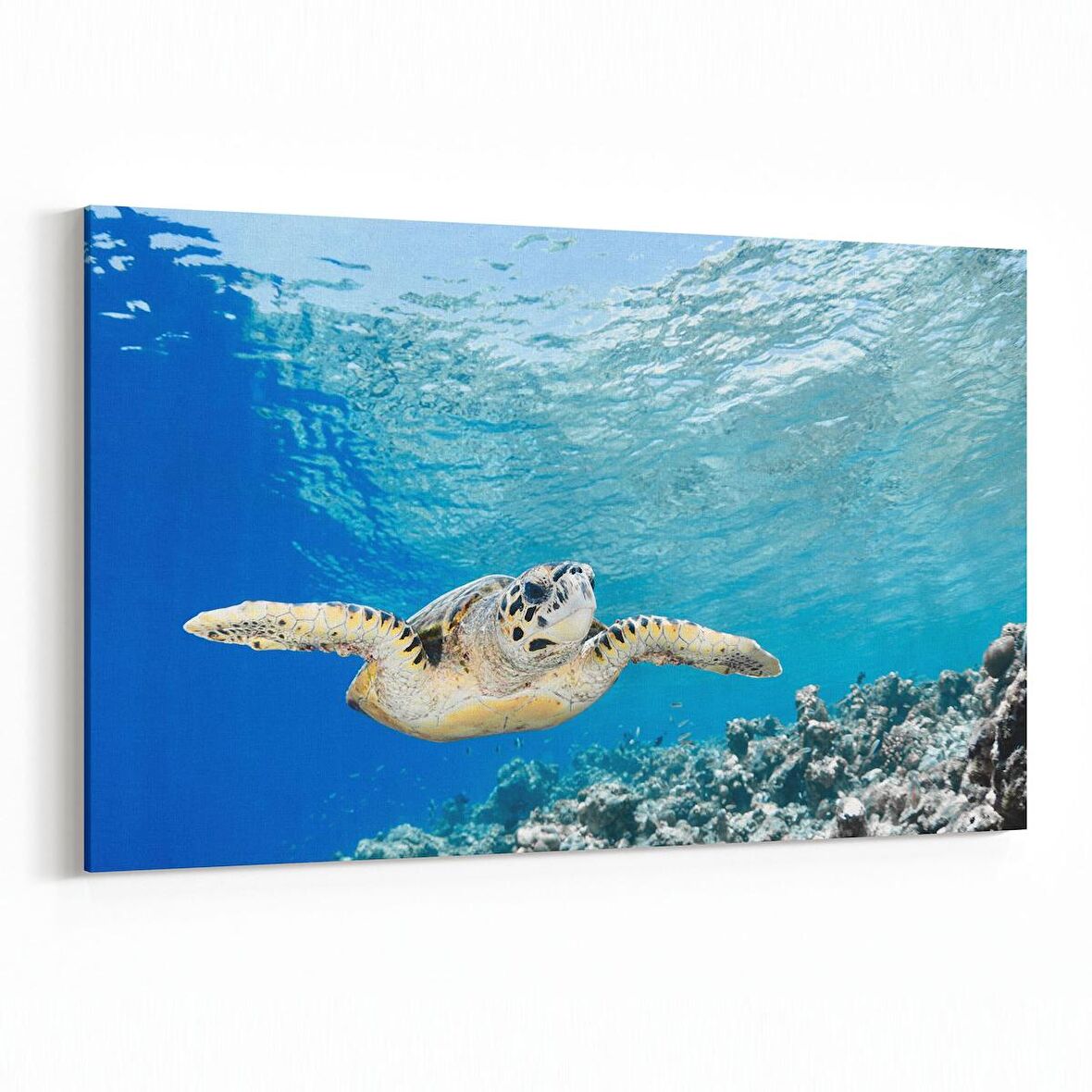 Olla 12905Y Deniz / Okyanus Görseli Yatay Kanvas Tablo (Ölçü: 90X60)