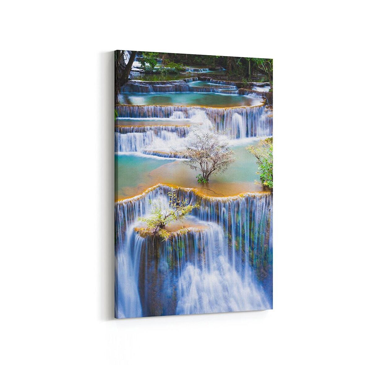 Olla 14202D Doğa / Manzara Görseli Dikey Kanvas Tablo (Ölçü: 80X120)