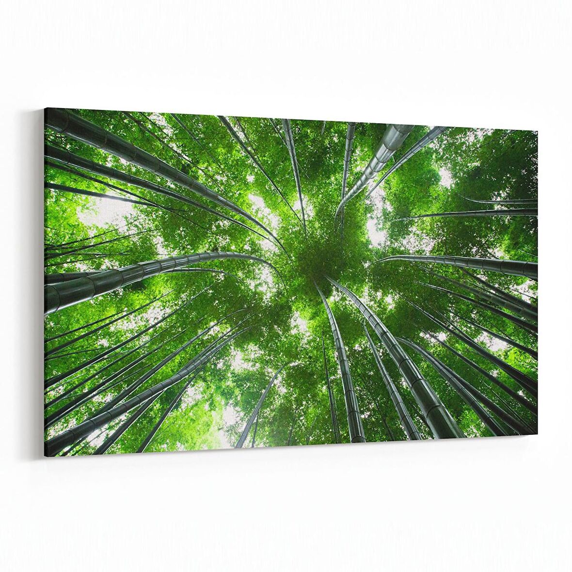 Olla 10985Y Ağaç Görseli Yatay Kanvas Tablo (Ölçü: 45X30)