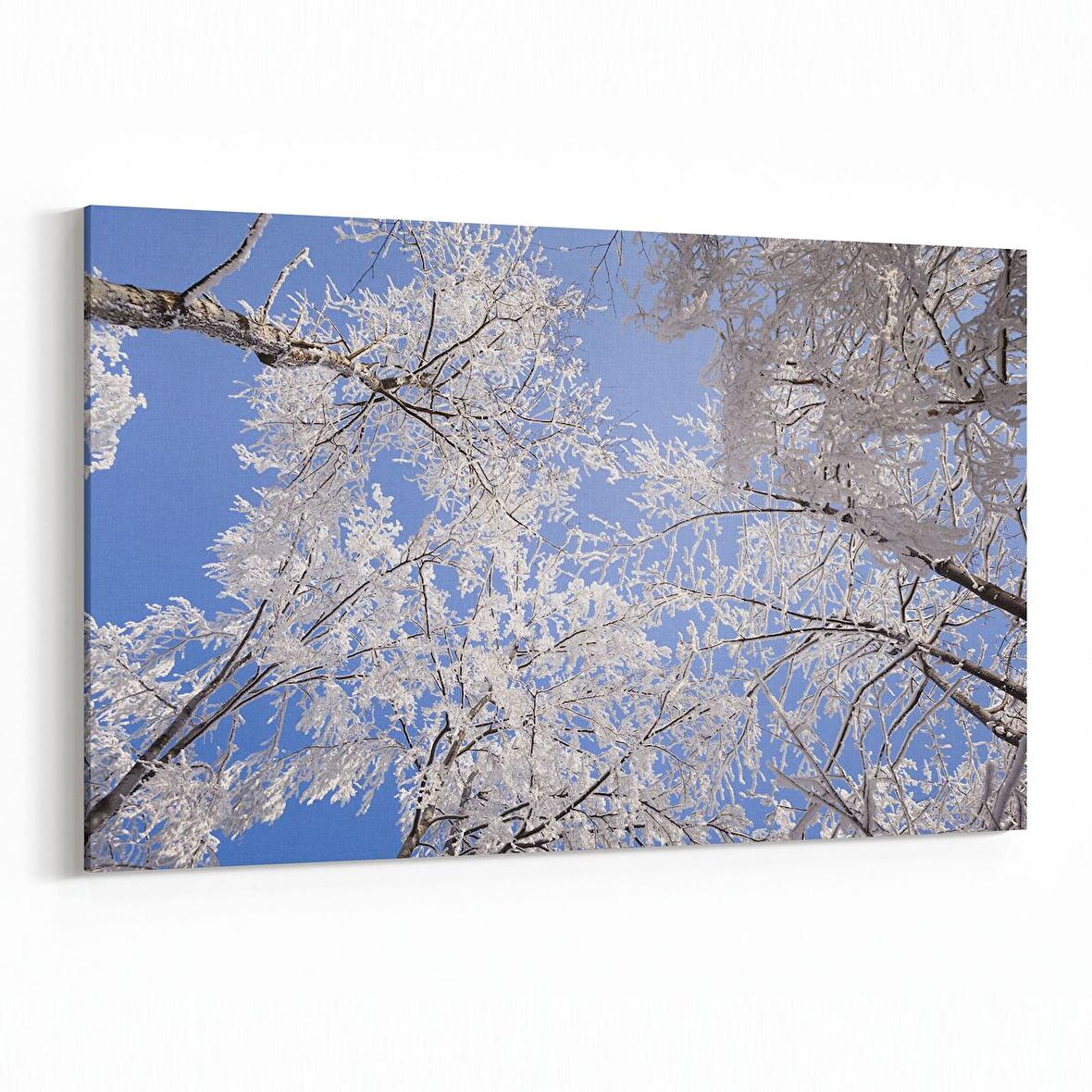 Olla 10567Y Ağaç Görseli Yatay Kanvas Tablo (Ölçü: 70X50)