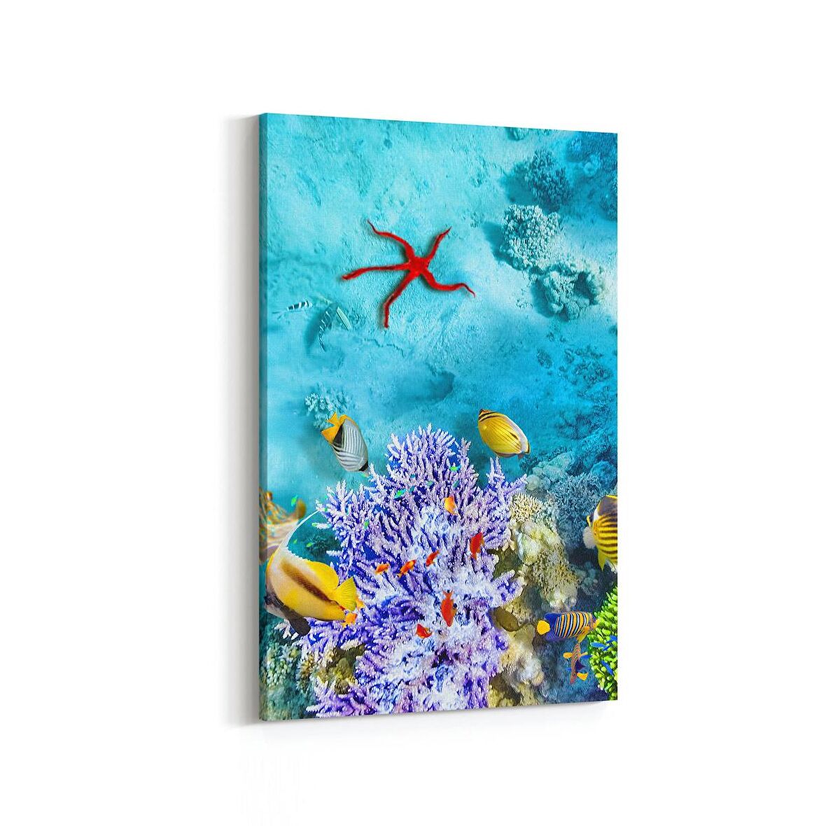 Olla 12129D Akvaryum / Balık Görseli Dikey Kanvas Tablo (Ölçü: 20X30)