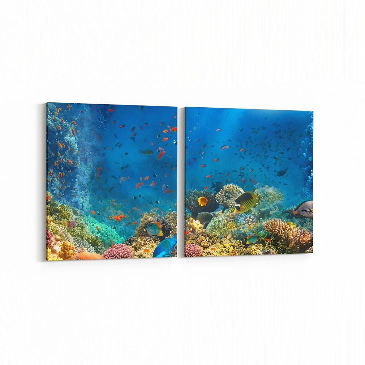Olla 12115K2Y Akvaryum / Balık Görseli Kare 2'li Yatay Kanvas Tablo (Ölçü: 145X70)