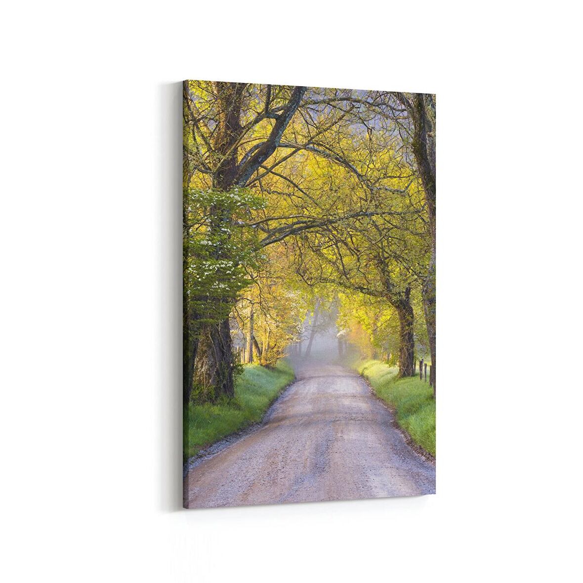 Olla 13437D Doğa / Manzara Görseli Dikey Kanvas Tablo (Ölçü: 20X30)