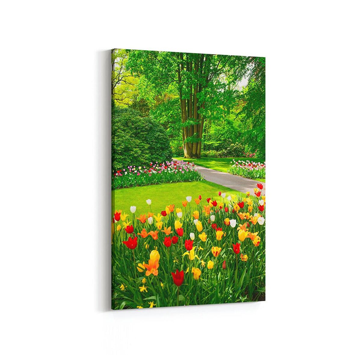 Olla 13668D Doğa / Manzara Görseli Dikey Kanvas Tablo (Ölçü: 20X30)