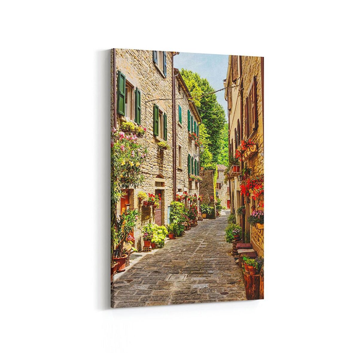 Olla 18303D Yapı Görseli Dikey Kanvas Tablo (Ölçü: 100X150)