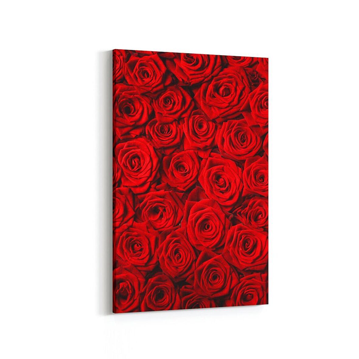 Olla 11559D Çiçek Görseli Dikey Kanvas Tablo (Ölçü: 60X90)