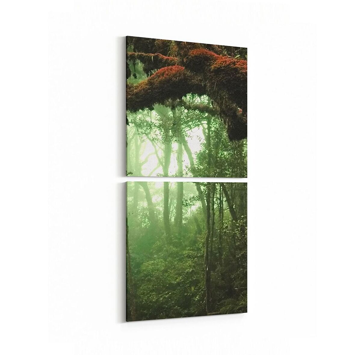 Olla 13514K2D Doğa / Manzara Görseli Kare 2'li Dikey Kanvas Tablo (Ölçü: 30X65)