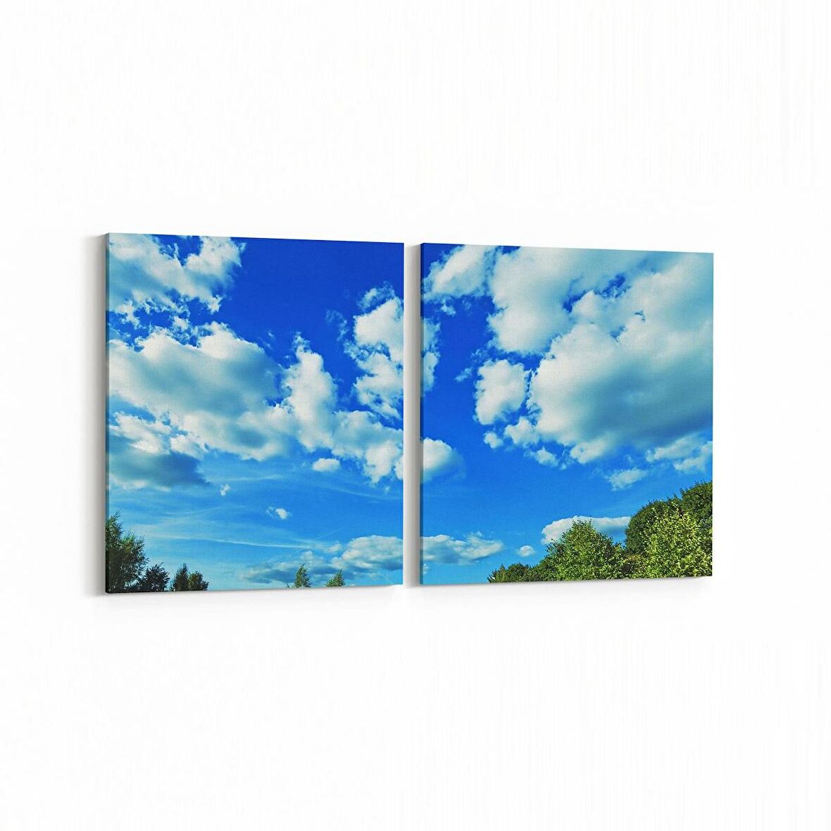 Olla 14448K2Y Doğa / Manzara Görseli Kare 2'li Yatay Kanvas Tablo (Ölçü: 145X70)
