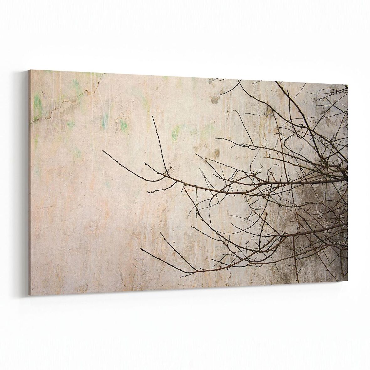 Olla 10992Y Ağaç Görseli Yatay Kanvas Tablo (Ölçü: 150X100)