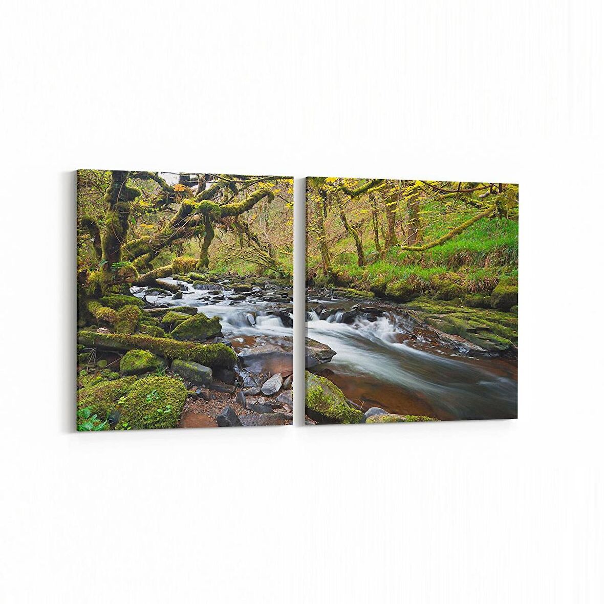 Olla 13170K2Y Doğa / Manzara Görseli Kare 2'li Yatay Kanvas Tablo (Ölçü: 85X40)