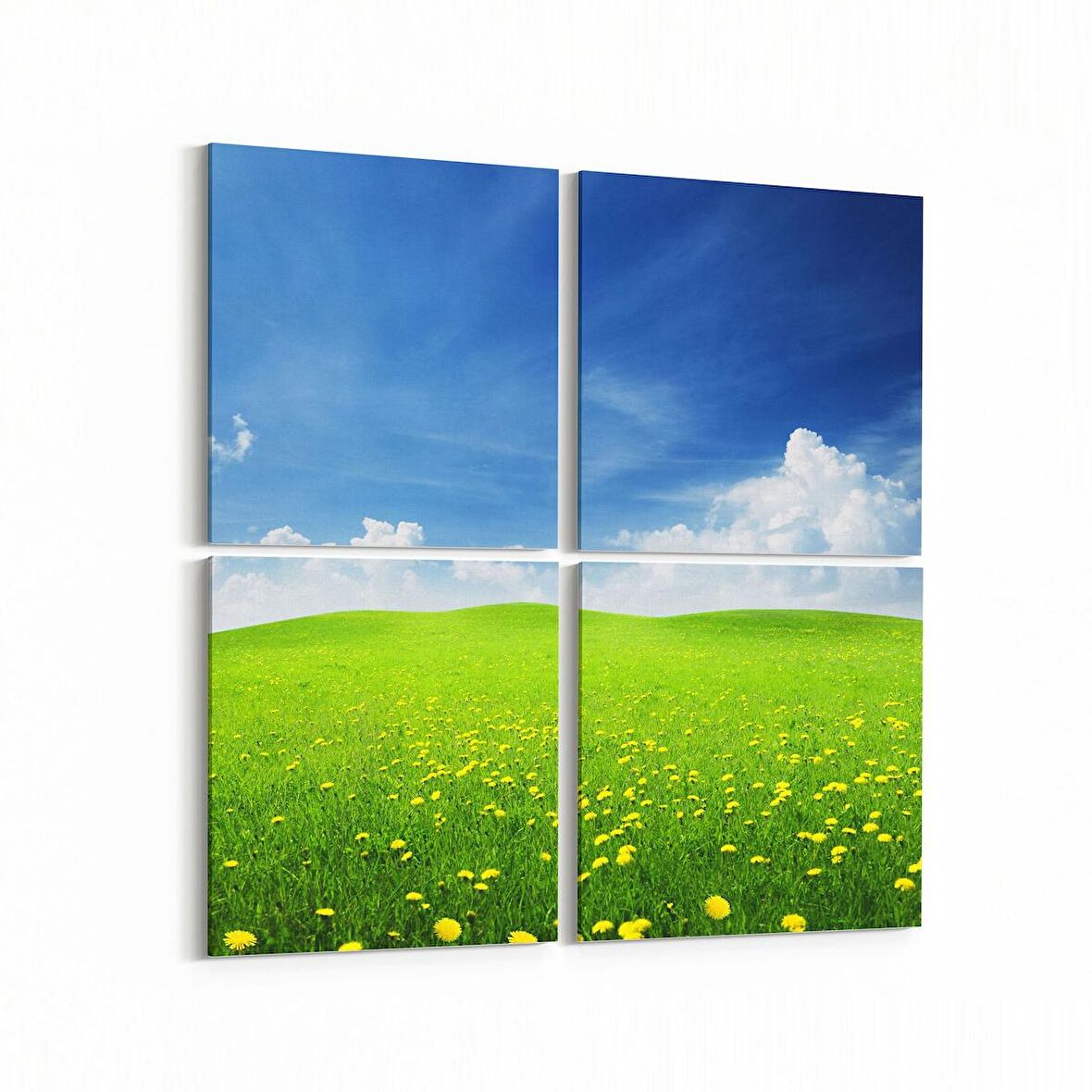 Olla 14549K4 Doğa / Manzara Görseli Kare 4'lü Kanvas Tablo (Ölçü: 145X145)