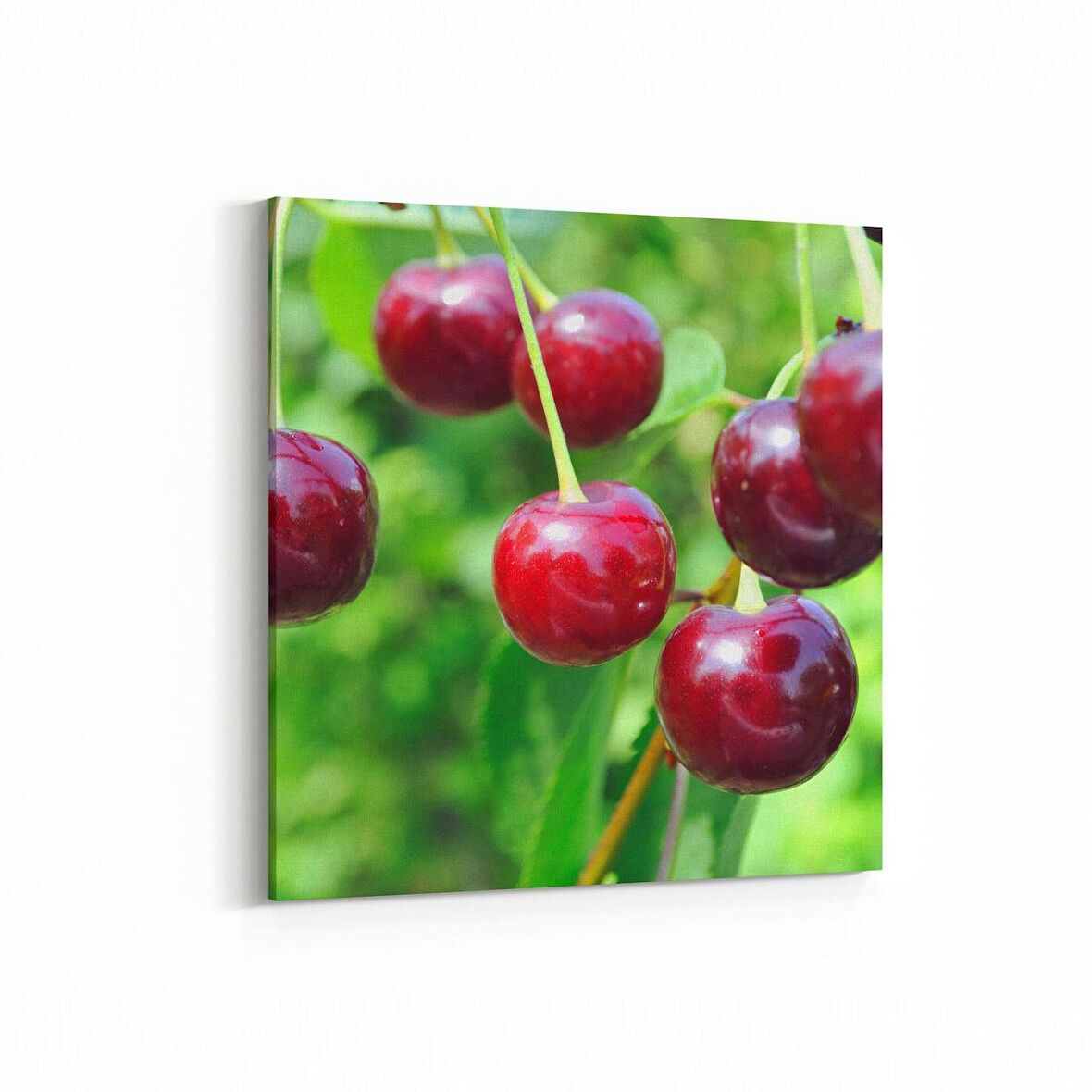 Olla 15303K Gıda Görseli Kare Kanvas Tablo (Ölçü: 25X25)