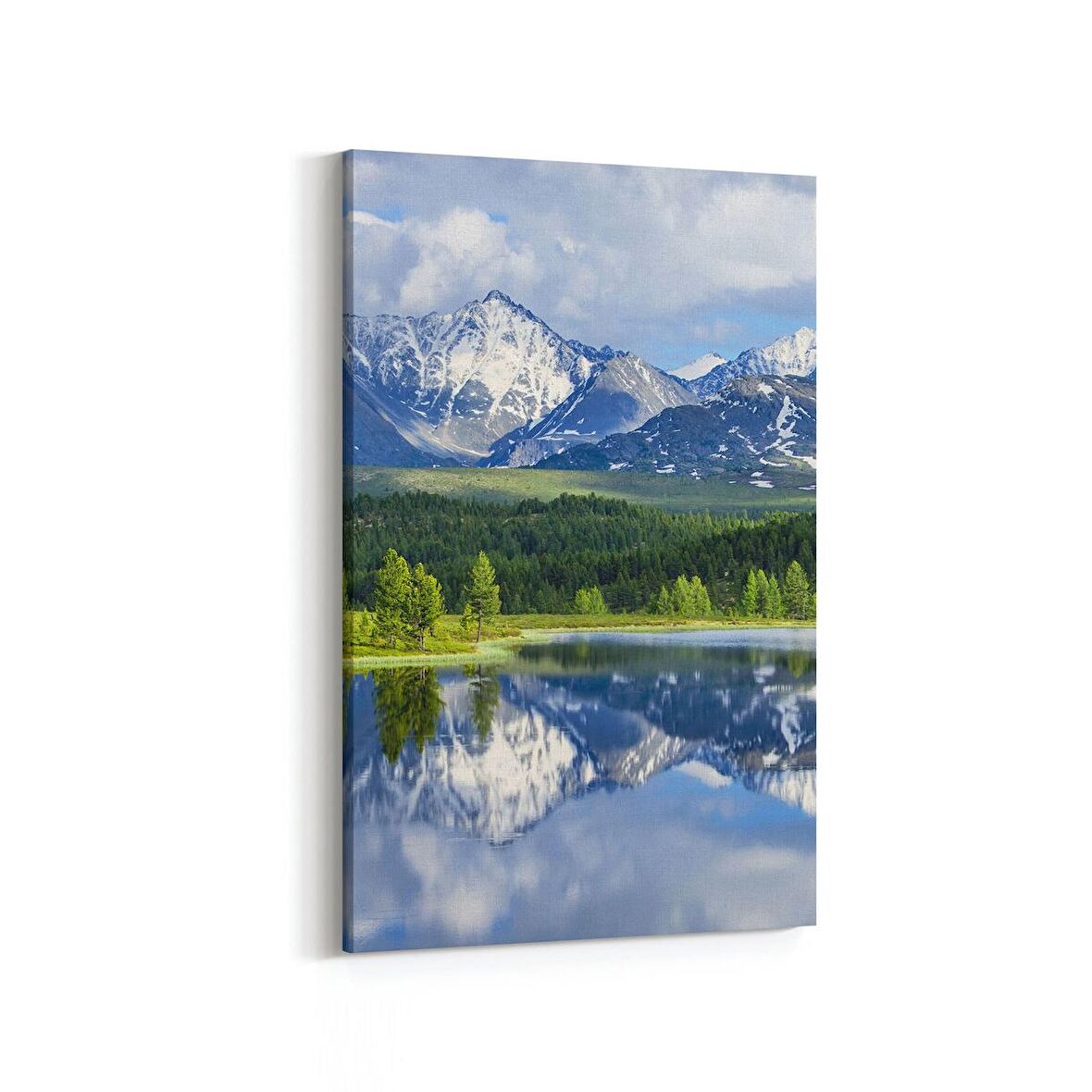 Olla 13172D Doğa / Manzara Görseli Dikey Kanvas Tablo (Ölçü: 60X90)