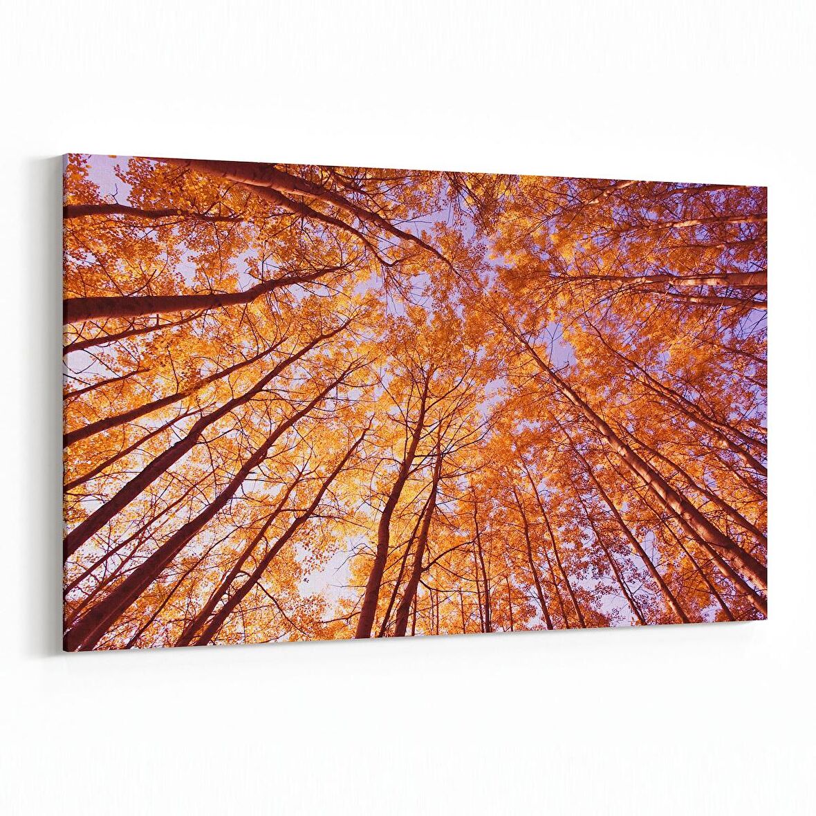 Olla 10605Y Ağaç Görseli Yatay Kanvas Tablo (Ölçü: 45X30)