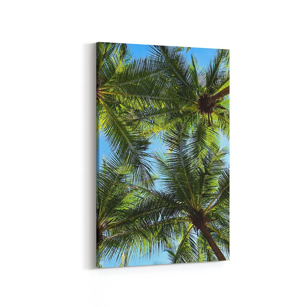 Olla 11489D Palmiye Ağacı Görseli Dikey Kanvas Tablo (Ölçü: 100X150)