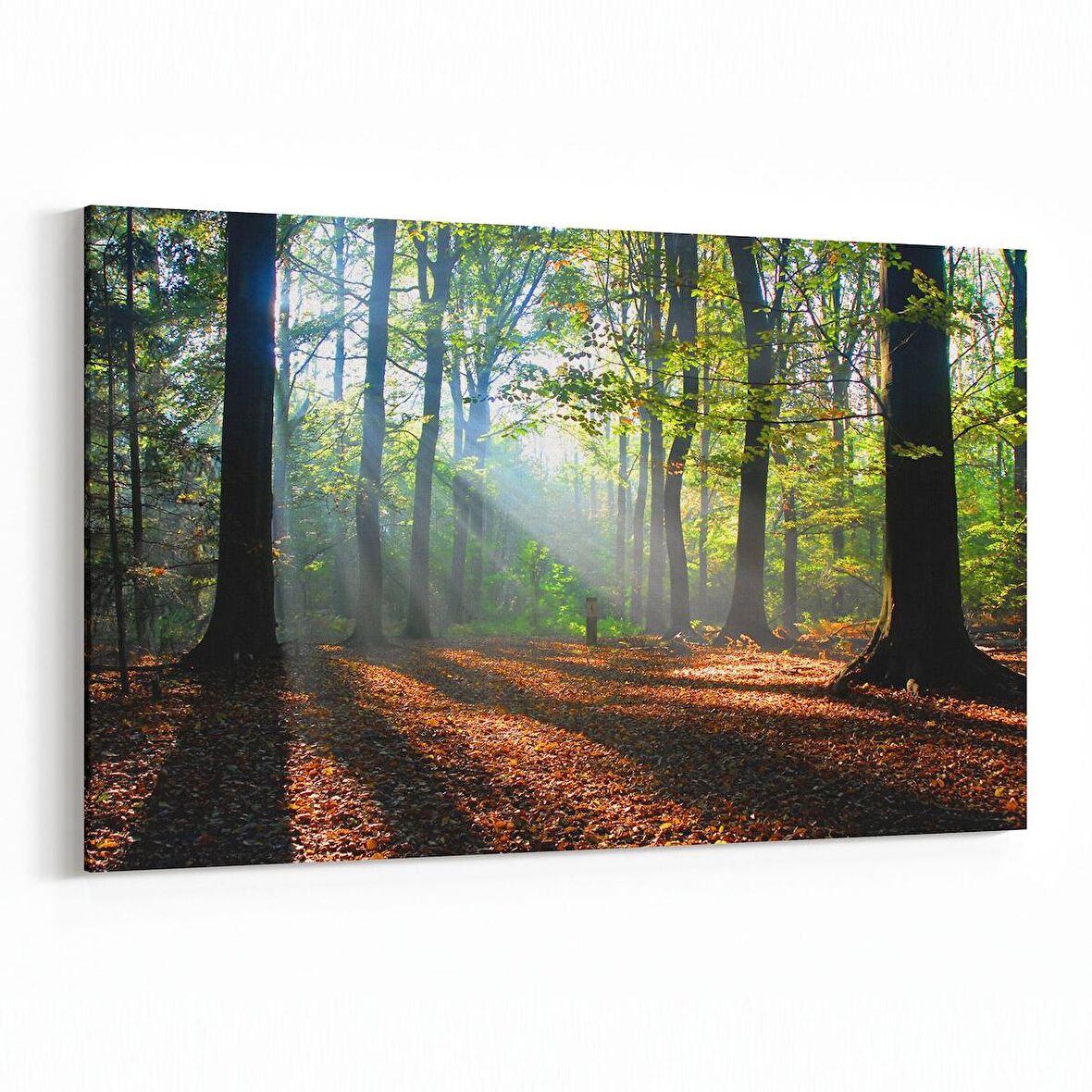 Olla 14606Y Doğa / Manzara Görseli Yatay Kanvas Tablo (Ölçü: 45X30)