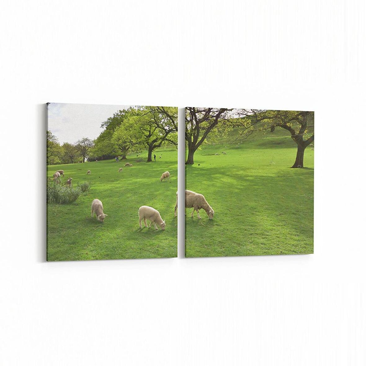 Olla 12498K2Y Hayvanlar Alemi Görseli Kare 2'li Yatay Kanvas Tablo (Ölçü: 145X70)