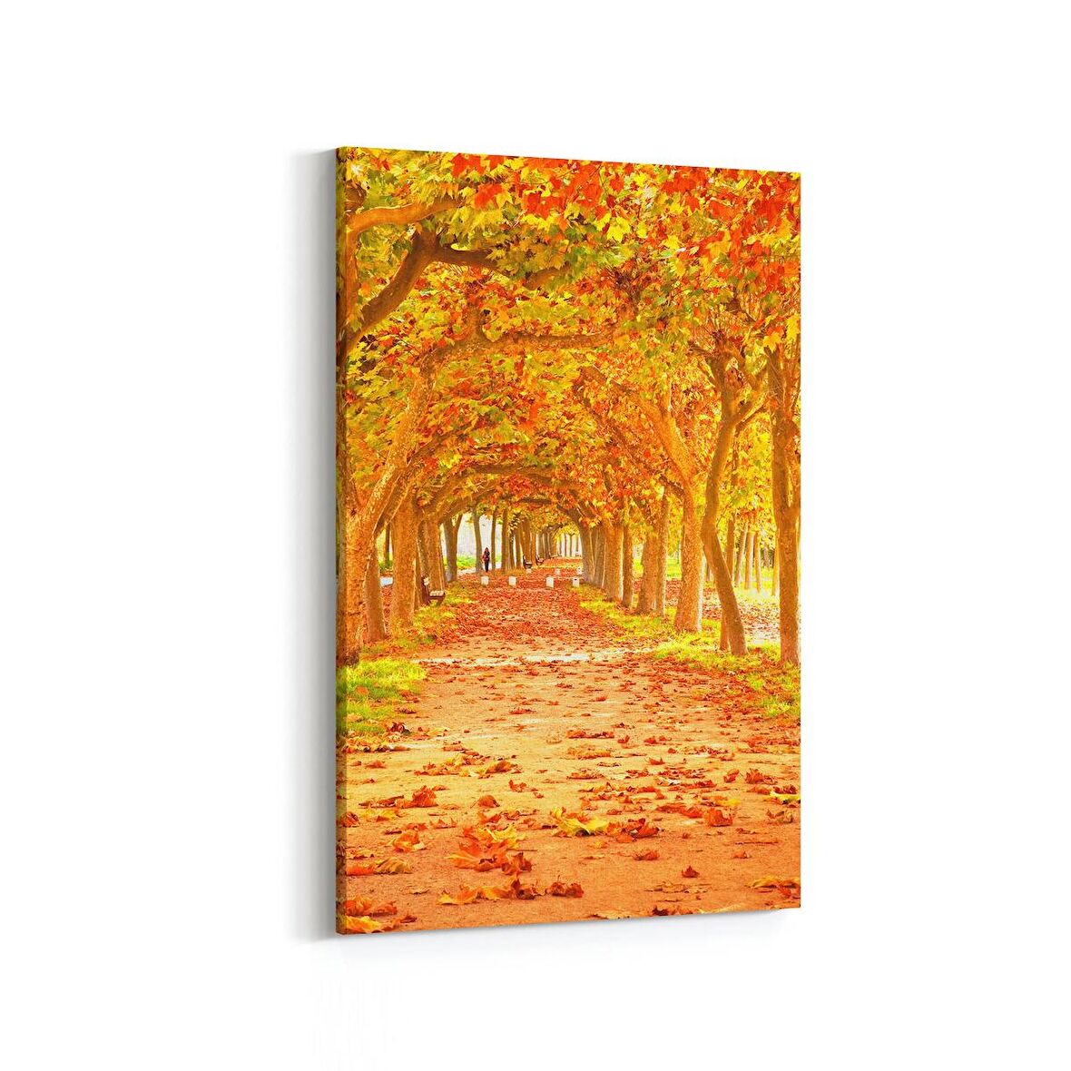 Olla 14554D Doğa / Manzara Görseli Dikey Kanvas Tablo (Ölçü: 100X150)