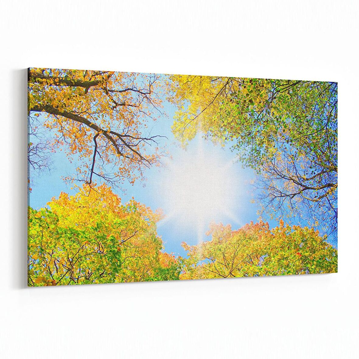 Olla 10496Y Ağaç Görseli Yatay Kanvas Tablo (Ölçü: 45X30)