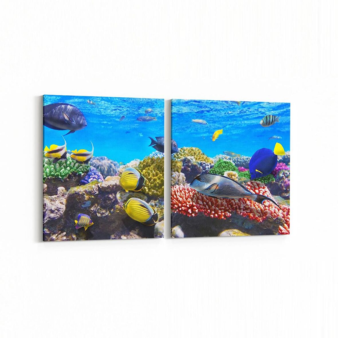 Olla 12067K2Y Akvaryum / Balık Görseli Kare 2'li Yatay Kanvas Tablo (Ölçü: 145X70)