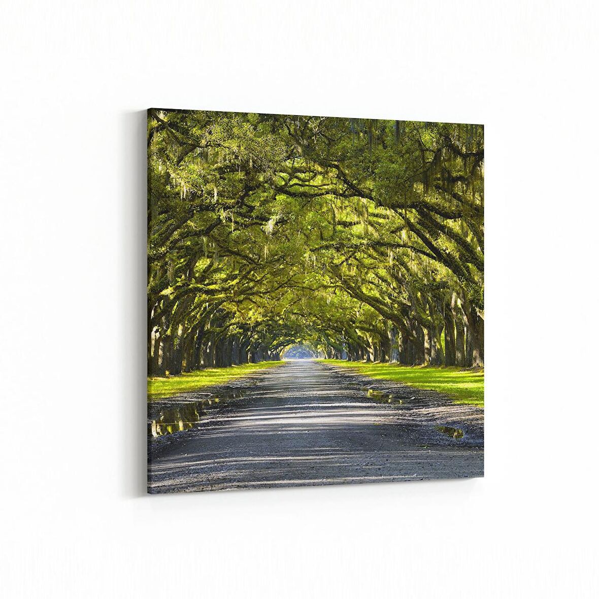 Olla 13976K Doğa / Manzara Görseli Kare Kanvas Tablo (Ölçü: 25X25)