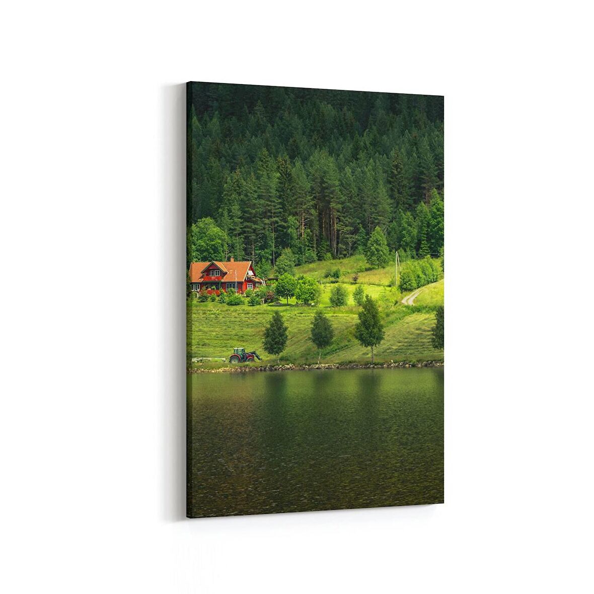 Olla 14099D Doğa / Manzara Görseli Dikey Kanvas Tablo (Ölçü: 40X60)