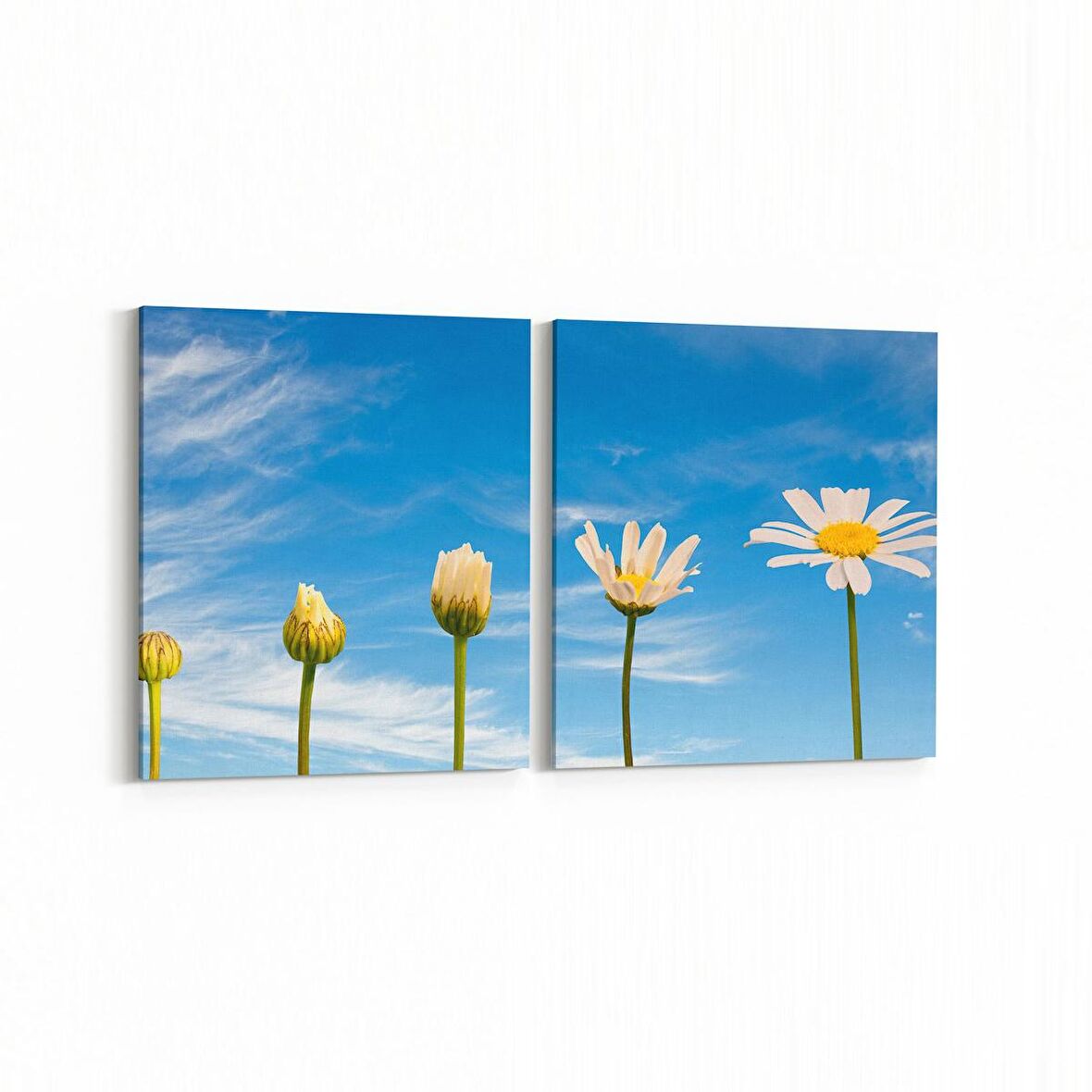 Olla 10935K2Y Ağaç Görseli Kare 2'li Yatay Kanvas Tablo (Ölçü: 65X30)