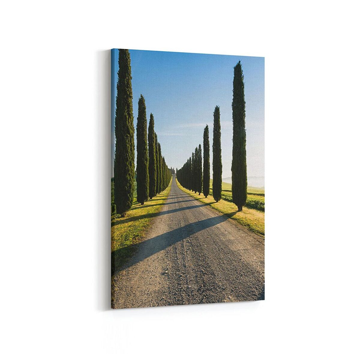 Olla 13697D Doğa / Manzara Görseli Dikey Kanvas Tablo (Ölçü: 20X30)