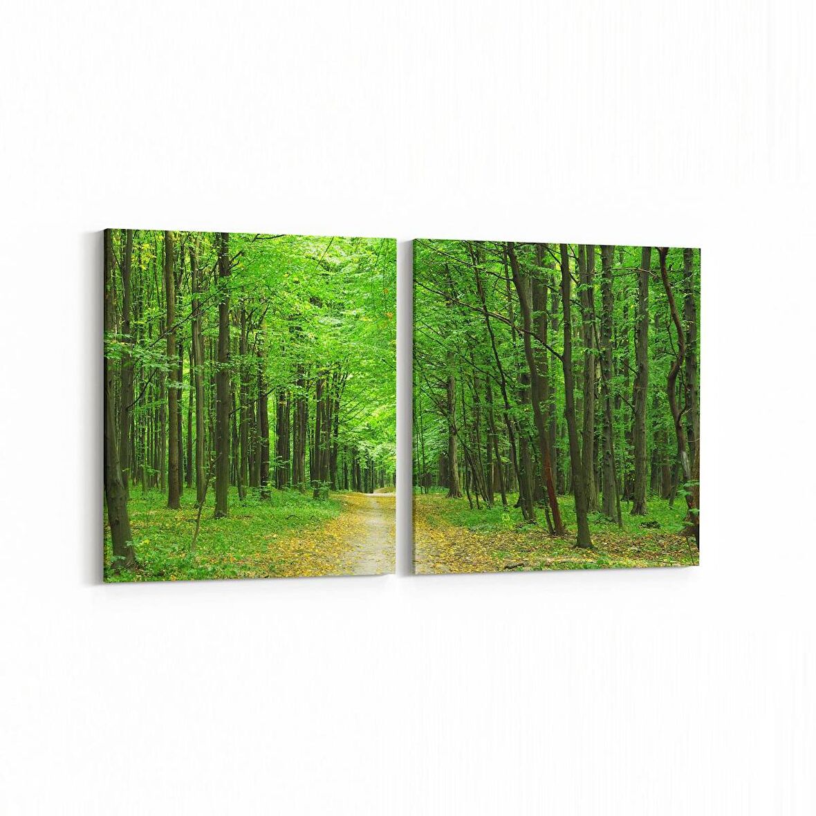 Olla 13373K2Y Doğa / Manzara Görseli Kare 2'li Yatay Kanvas Tablo (Ölçü: 65X30)
