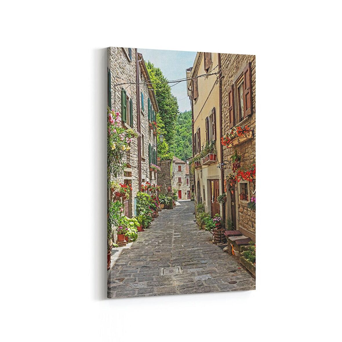 Olla 18332D Yapı Görseli Dikey Kanvas Tablo (Ölçü: 100X150)