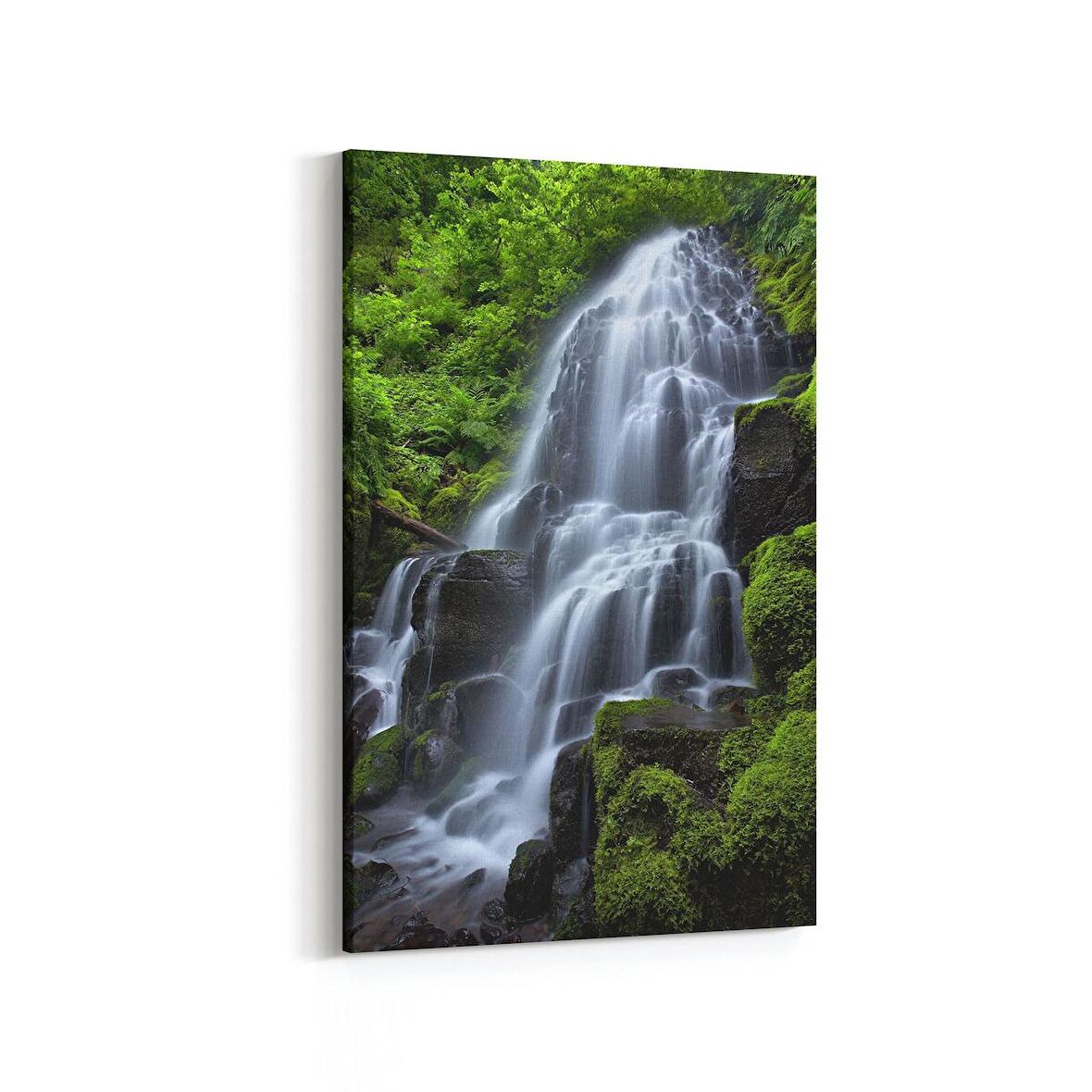 Olla 13320D Doğa / Manzara Görseli Dikey Kanvas Tablo (Ölçü: 60X90)