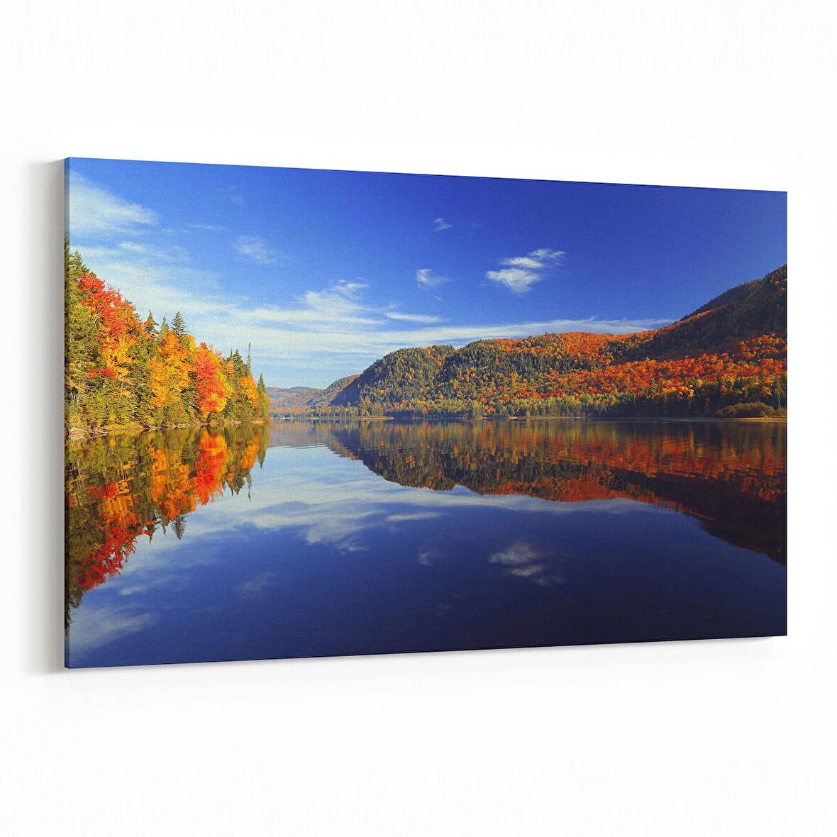 Olla 14043Y Doğa / Manzara Görseli Yatay Kanvas Tablo (Ölçü: 120X80)