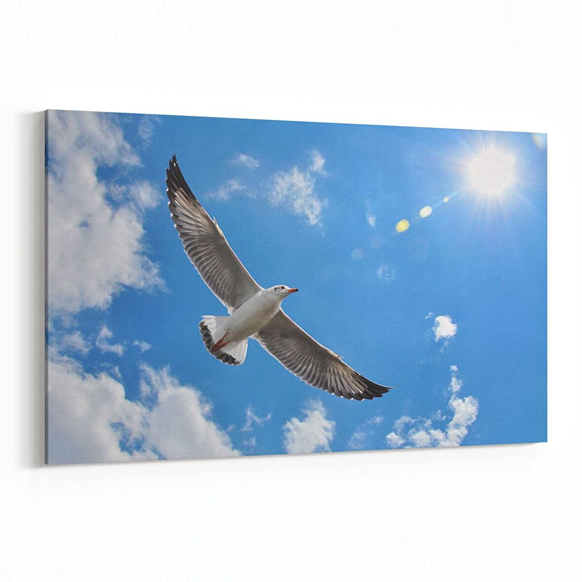 Olla 15839Y Gökyüzü Kuşlar Görseli Yatay Kanvas Tablo (Ölçü: 45X30)