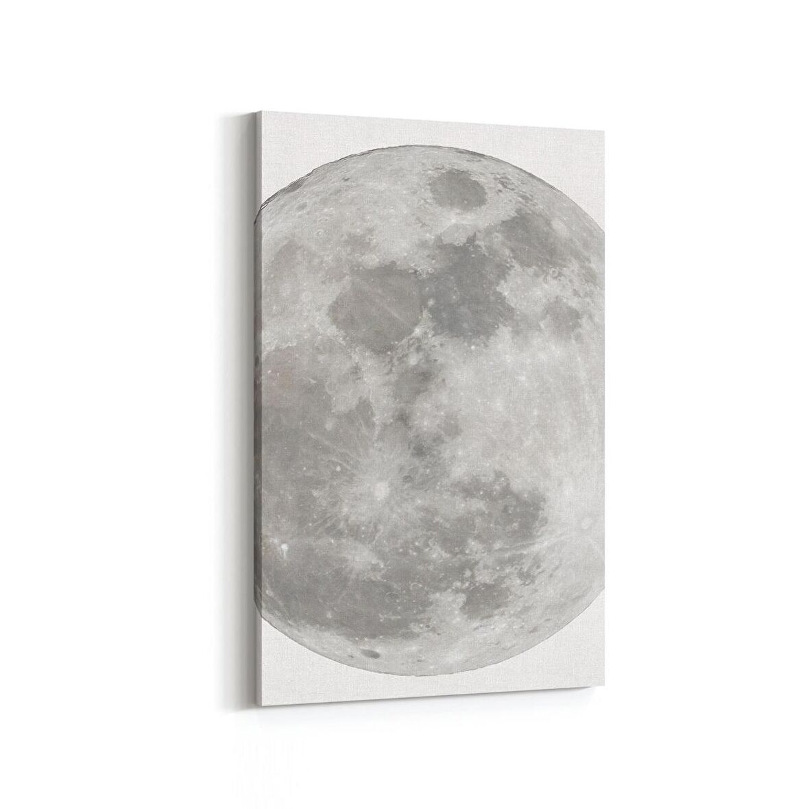 Olla 14794D Gece Gökyüzü Görseli Dikey Kanvas Tablo (Ölçü: 20X30)